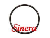 O-Ring, 25-31534